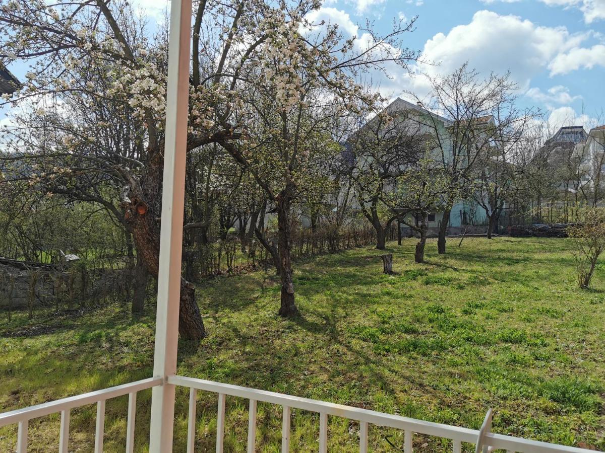 Vila Breza ソコバニャ エクステリア 写真